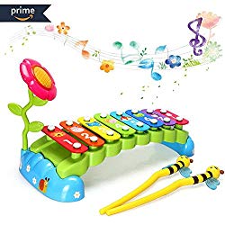 Educational Toys for 1 Year Olds HOMOFY Baby Xylophone