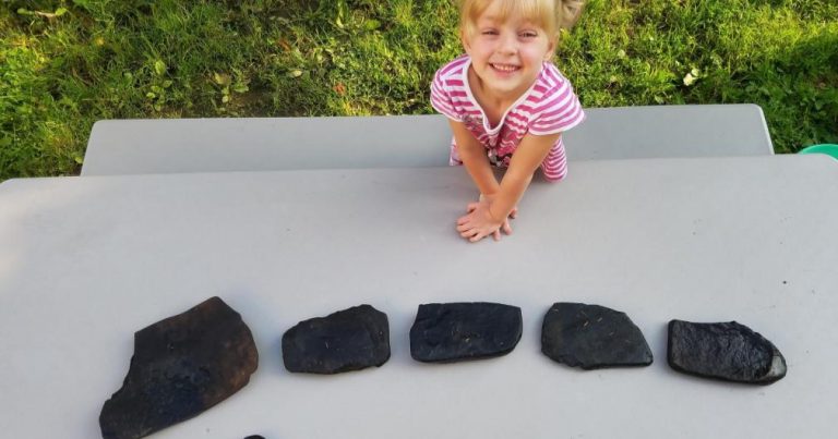 How to Make a Painted Rock Train for The Garden With Kids