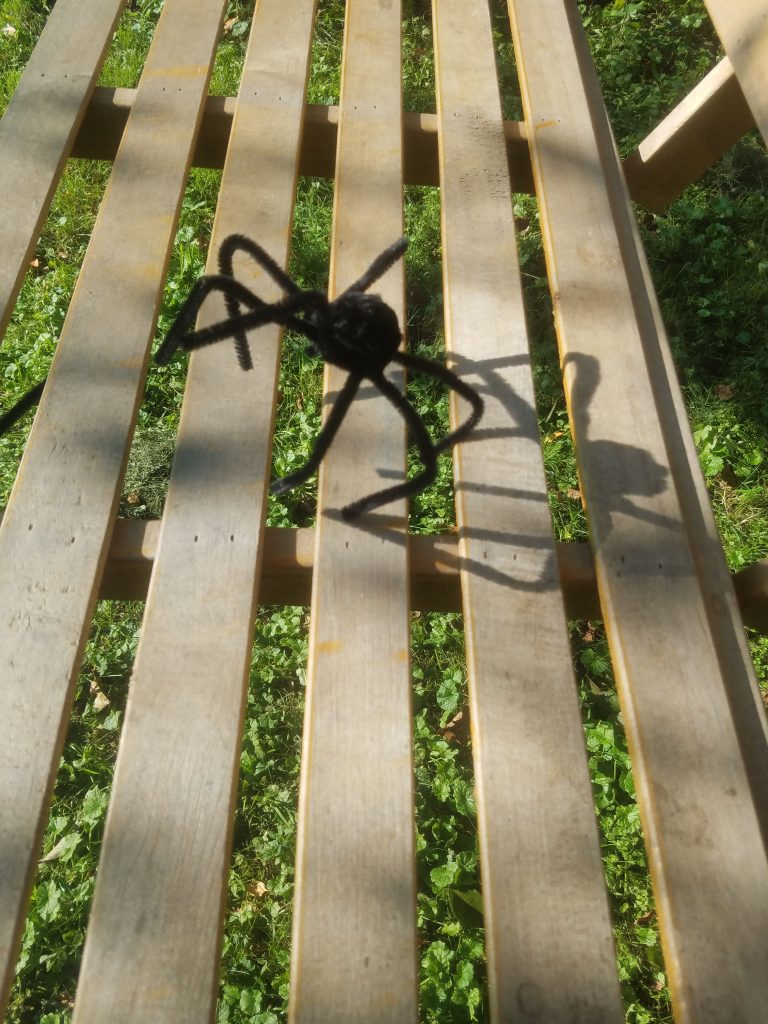 pipe cleaner spider