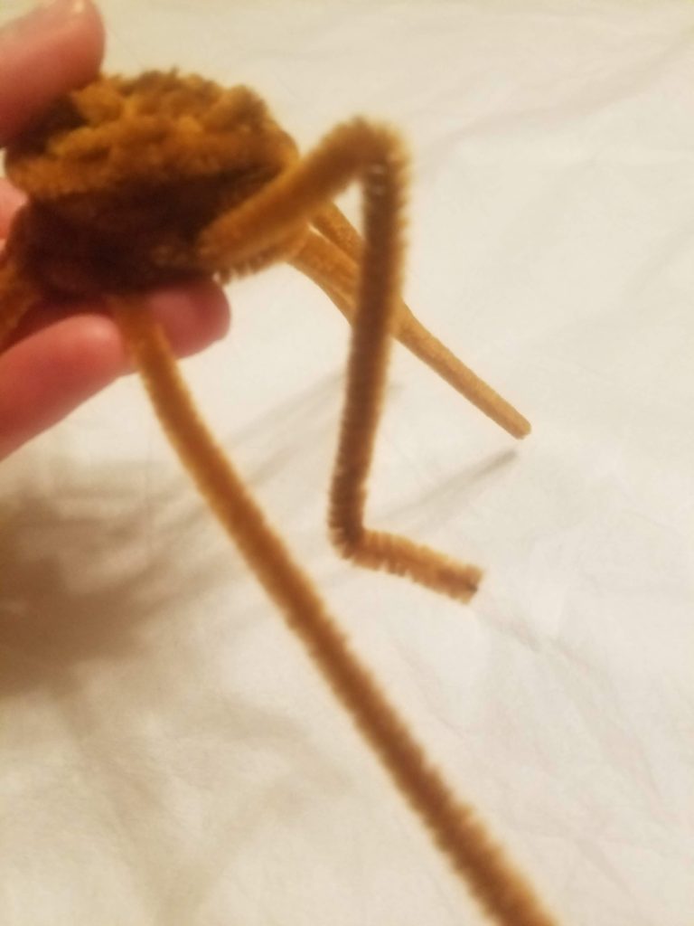 pipe cleaner spider legs