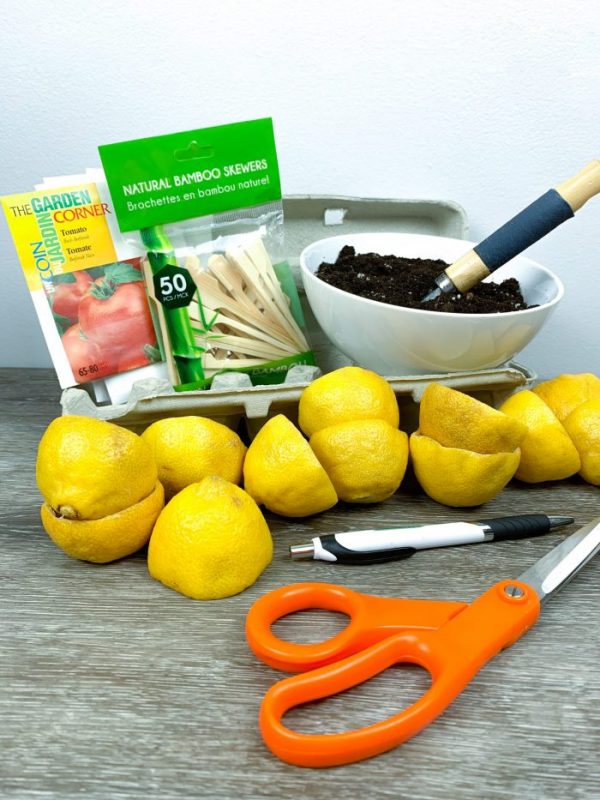 Lemon Starter Kit Materials