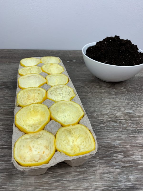 Lemon rinds in egg carton