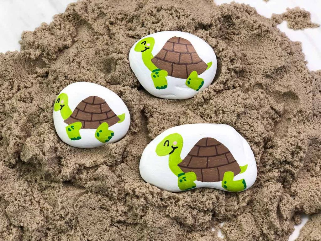 Turtle painted rocks